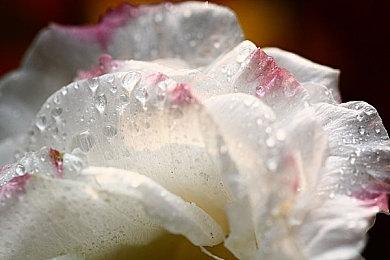 肉鸽卡牌战斗游戏《Beneath Oresa》将于10月13日发售